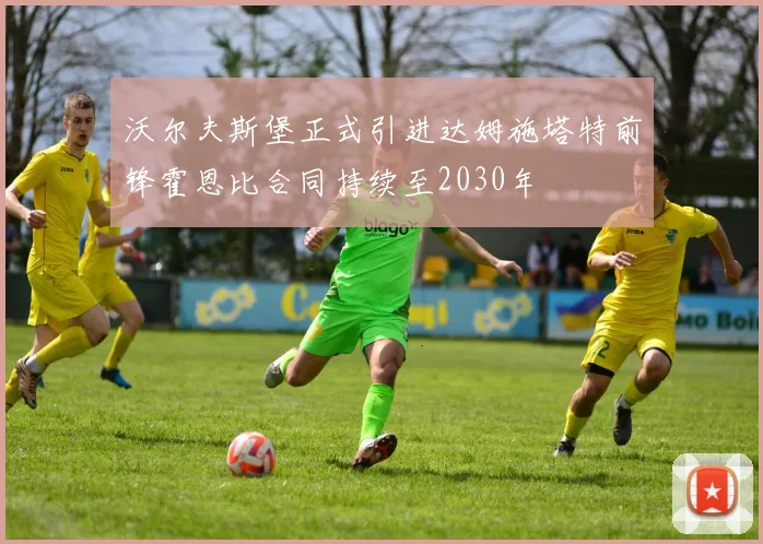 沃尔夫斯堡正式引进达姆施塔特前锋霍恩比合同持续至2030年