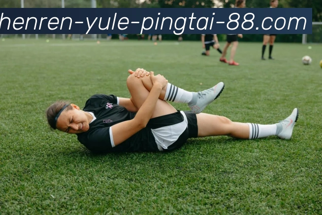 PA真人平台生态图